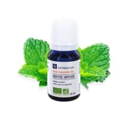 He menthe arvensis 10 ml