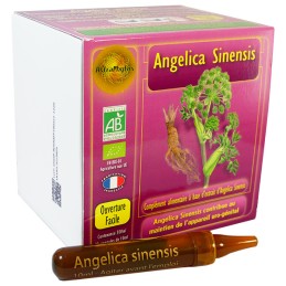 Angelica sinensis x30 amp.