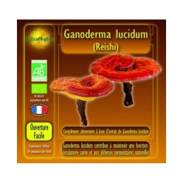 Ganoderma lucidum x30 amp.