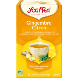 Gingembre citron x17 inf.